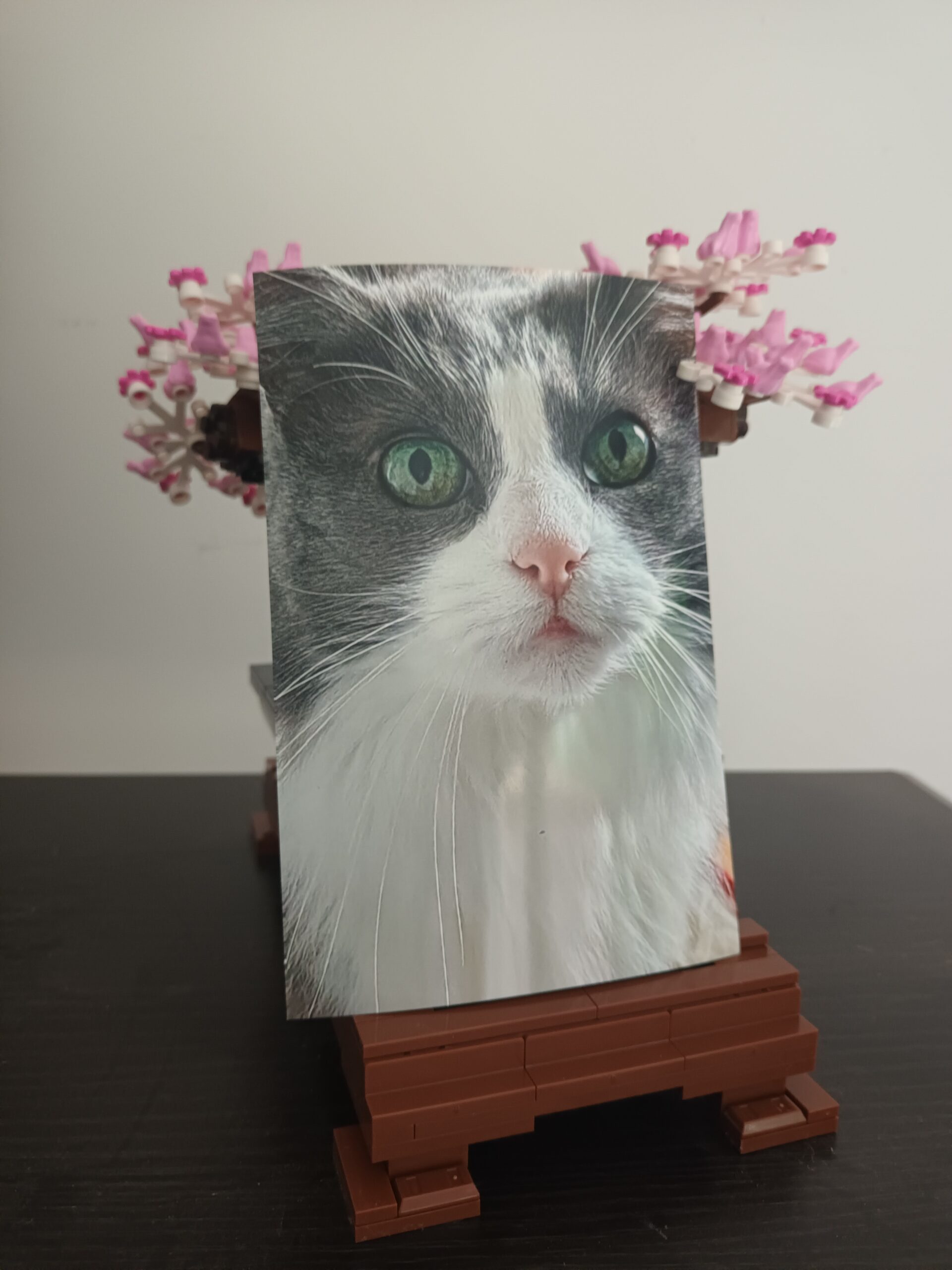 Zao